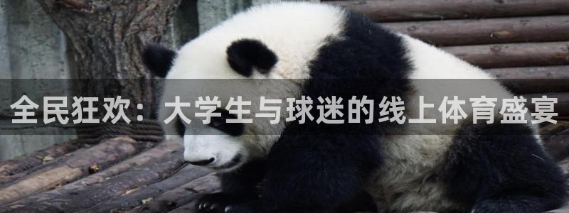  全民狂欢：大学生与球迷的线上体育盛宴