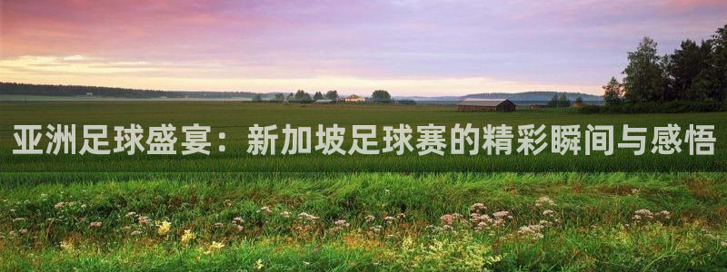亚洲足球盛宴：新加坡足球赛的精彩瞬间与感悟