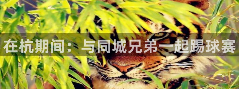  在杭期间：与同城兄弟一起踢球赛