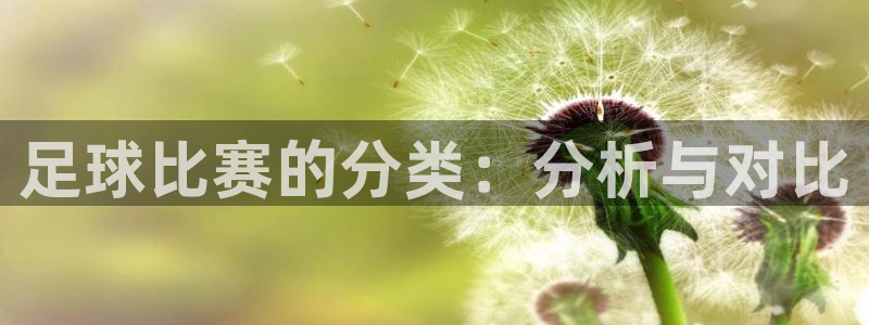 足球比赛的分类：分析与对比