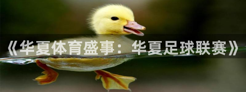 《华夏体育盛事：华夏足球联赛》