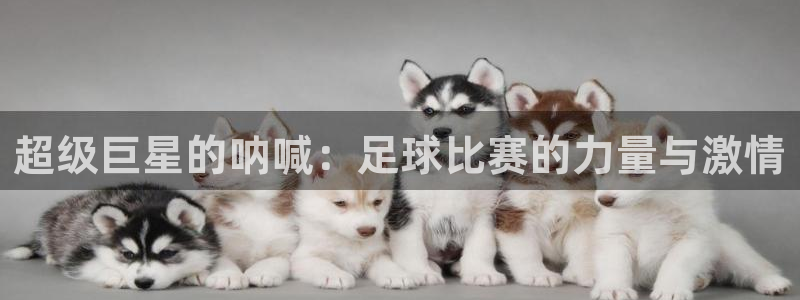  超级巨星的呐喊：足球比赛的力量与激情