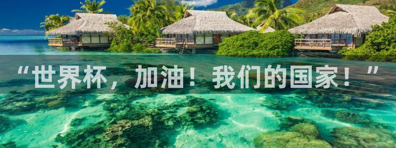 “世界杯，加油！我们的国家！”