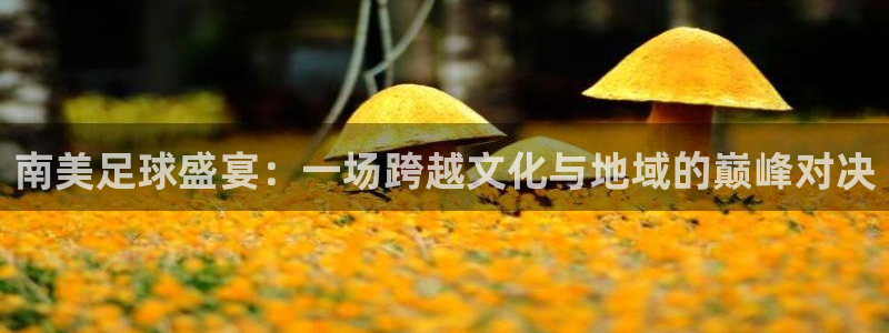  南美足球盛宴：一场跨越文化与地域的巅峰对决