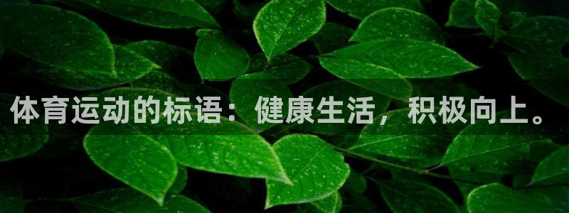 风速体育app下载安装最新版本