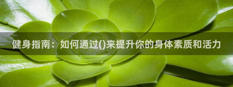 风速体育下载