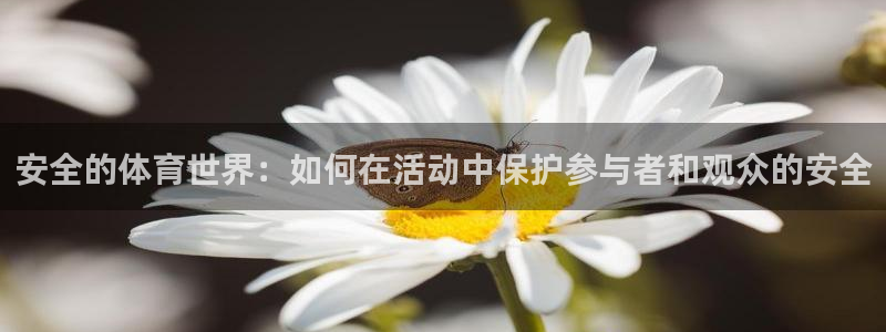 风速体育nba免费直播