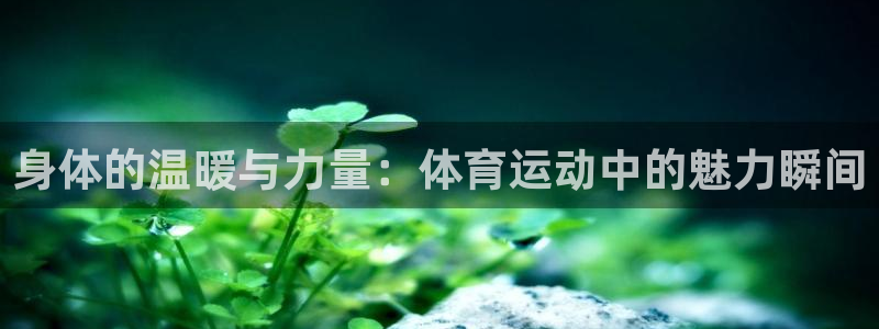 风速体育app下载官网最新版