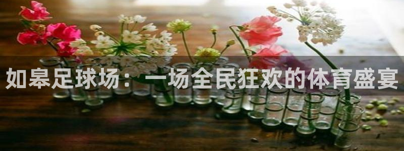如皋足球场：一场全民狂欢的体育盛宴