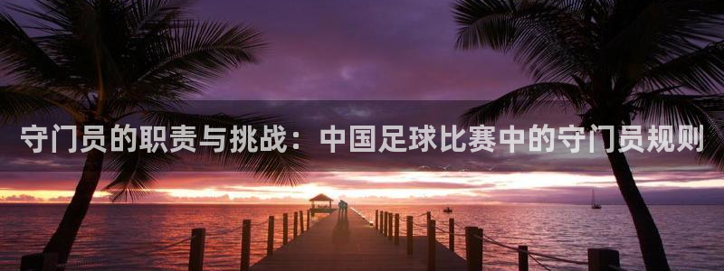 守门员的职责与挑战：中国足球比赛中的