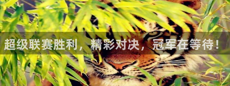  超级联赛胜利，精彩对决，冠军在等待！