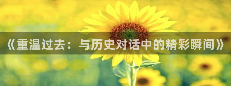  《重温过去：与历史对话中的精彩瞬间》