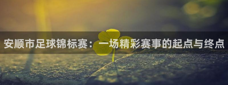 安顺市足球锦标赛：一场精彩赛事的起点与终点