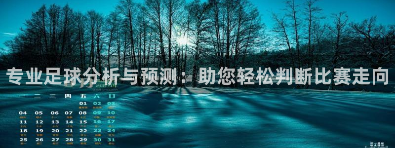 专业足球分析与预测：助您轻松判断比赛走向