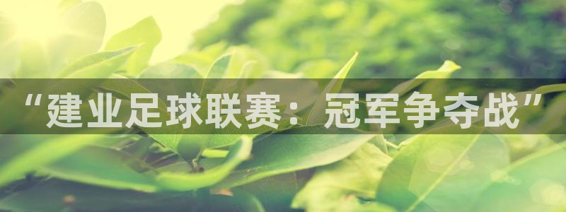  “建业足球联赛：冠军争夺战”