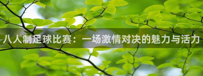 八人制足球比赛：一场激情对决的魅力与活力