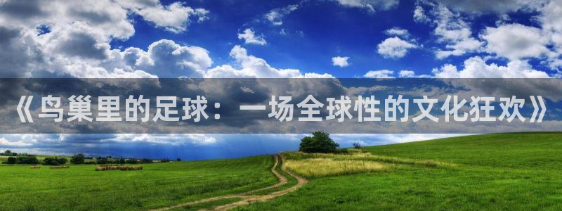 《鸟巢里的足球：一场全球性的文化狂欢