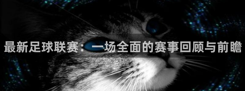 最新足球联赛：一场全面的赛事回顾与前瞻