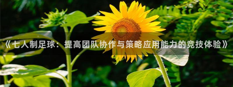  《七人制足球：提高团队协作与策略应用能力的竞技体验》