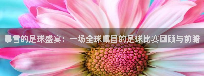  暴雪的足球盛宴：一场全球瞩目的足球比赛回顾与前瞻