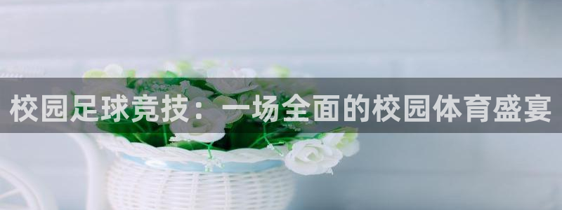 校园足球竞技：一场全面的校园体育盛宴