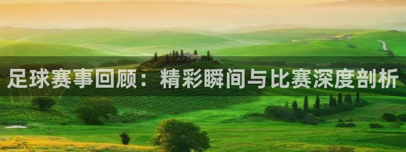 足球赛事回顾：精彩瞬间与比赛深度剖析