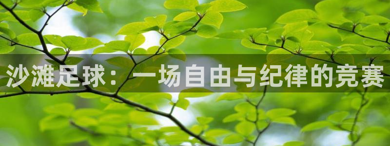 沙滩足球：一场自由与纪律的竞赛