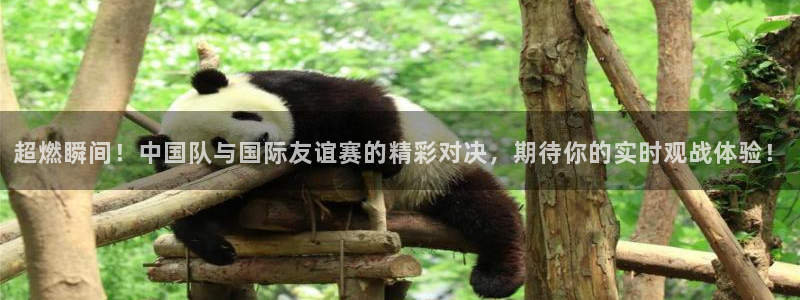 超燃瞬间！中国队与国际友谊赛的精彩对