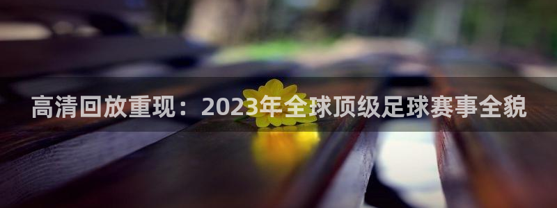 高清回放重现：2023年全球顶级足球