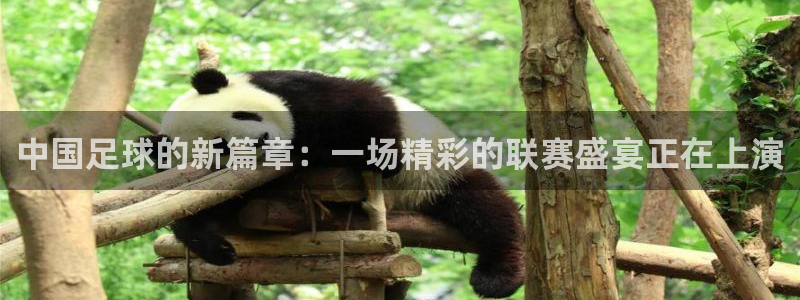 中国足球的新篇章：一场精彩的联赛盛宴