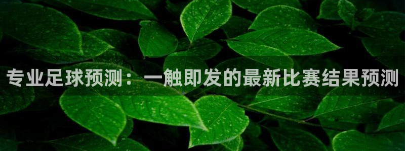 专业足球预测：一触即发的最新比赛结果