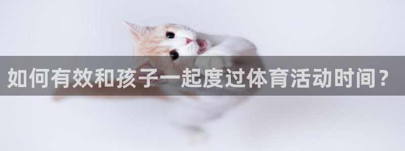 风速体育