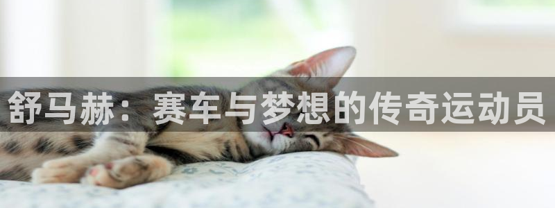 风速体育nba免费直播