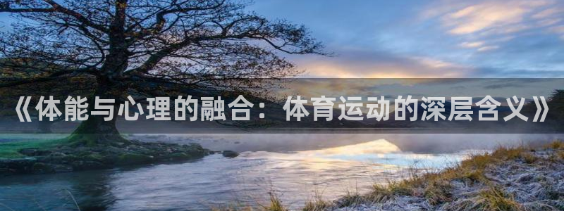 风速体育nba免费直播