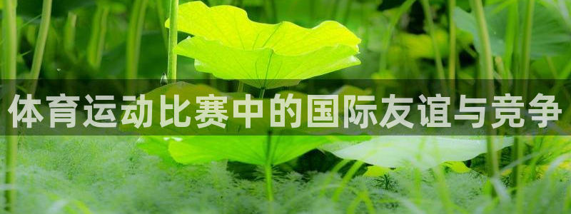 风速体育app官方下载