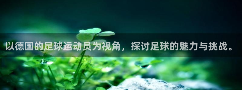 风速体育app