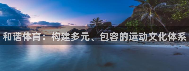 风速体育直播app