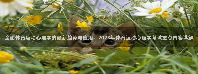 风速体育
