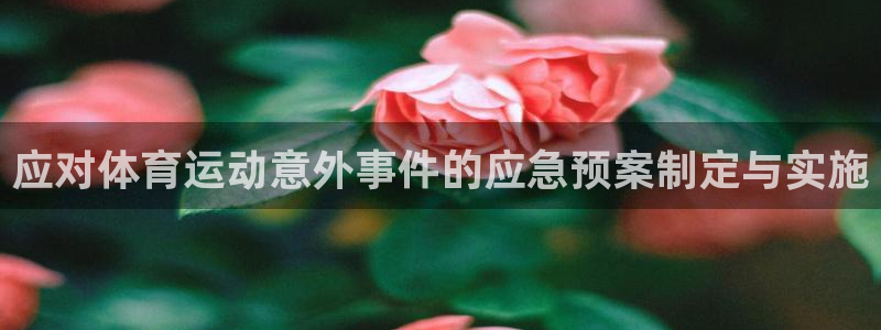 风速体育直播app