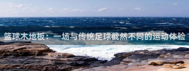 风速体育app下载官网最新版