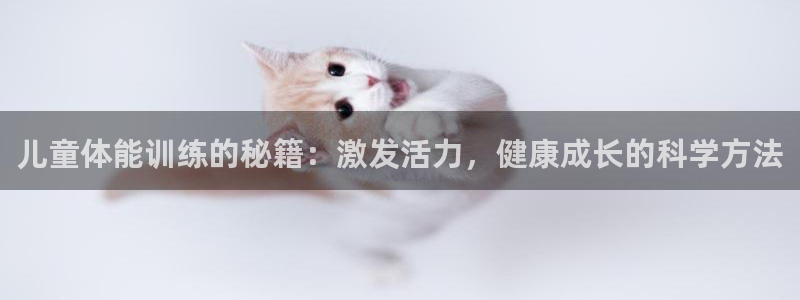 风速体育