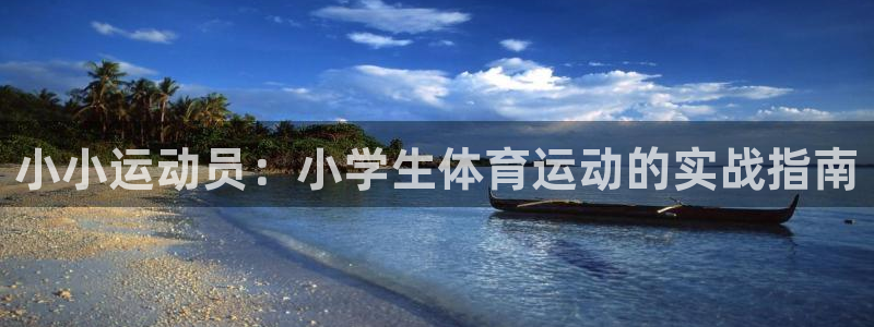 风速体育